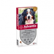 Advantix Spot-On 600/3000 4 Pipetten 40-60 kg