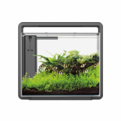 SuperFish Aquarium Home 45 - 46,5x25x42,5 cm Zwart
