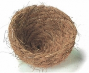 cocos nestje